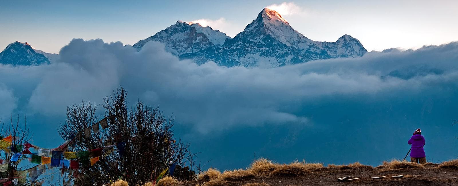 Ghorepani Poonhill Trek